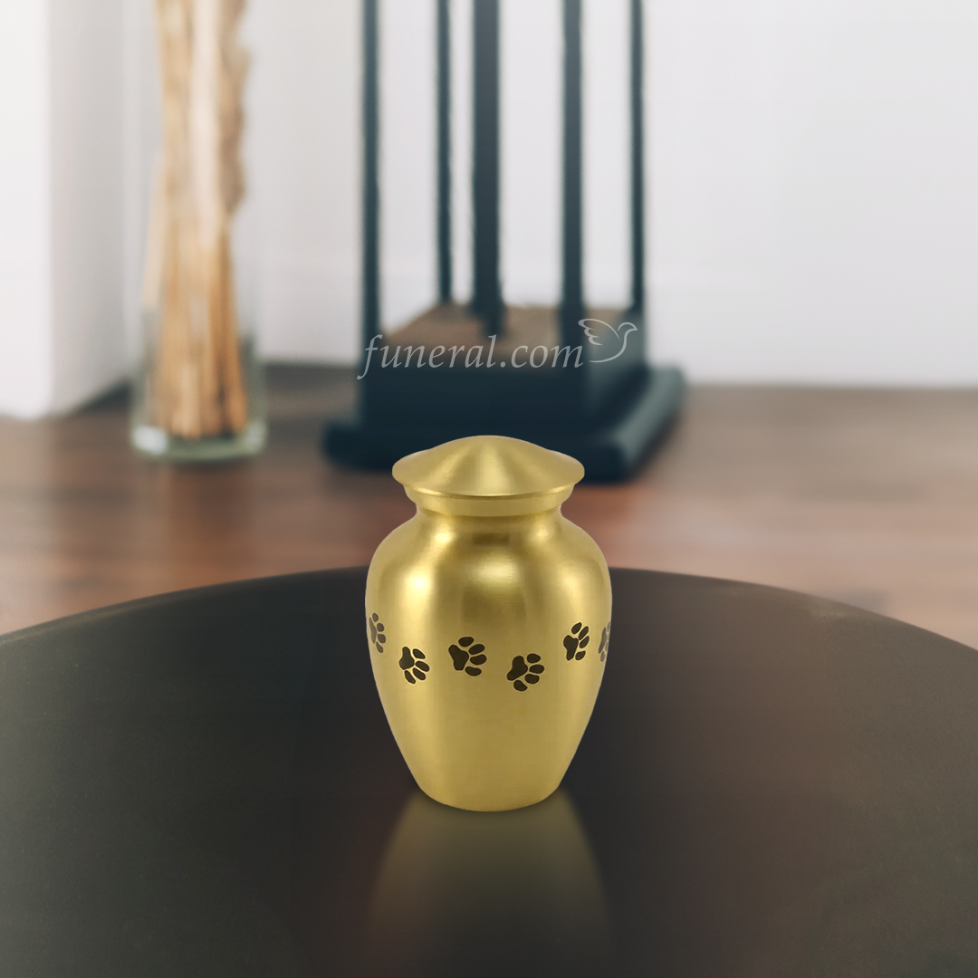 Gabrielle Paw Brass Medium Pet Urn