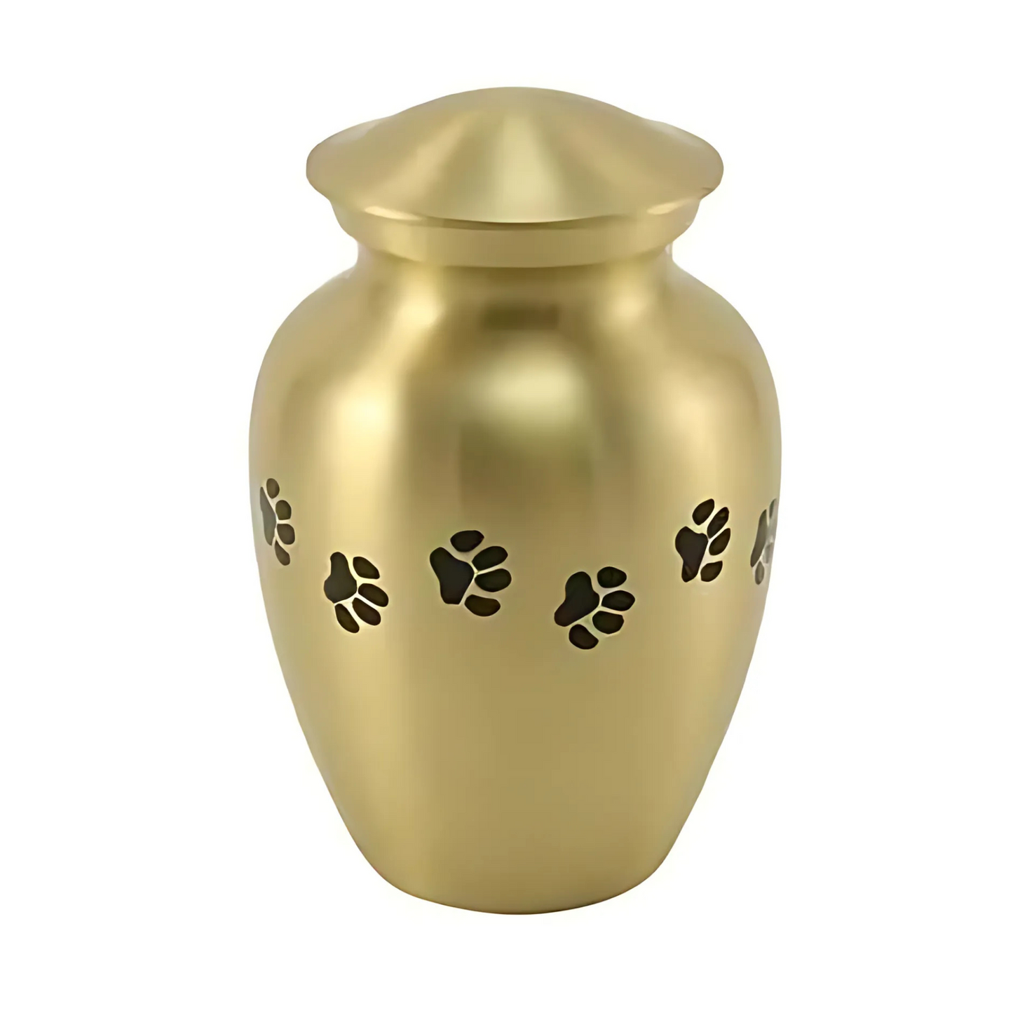 Gabrielle Paw Brass Medium Pet Urn High-Resolution Image