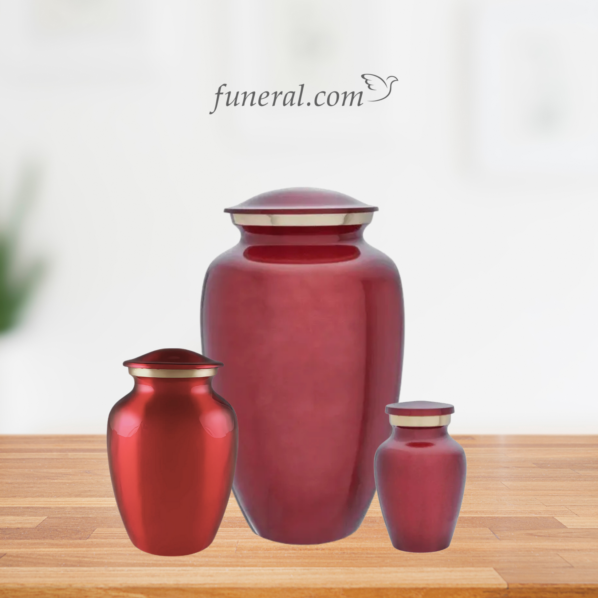 Midnight Solace Medium Ruby Brass Urn Set