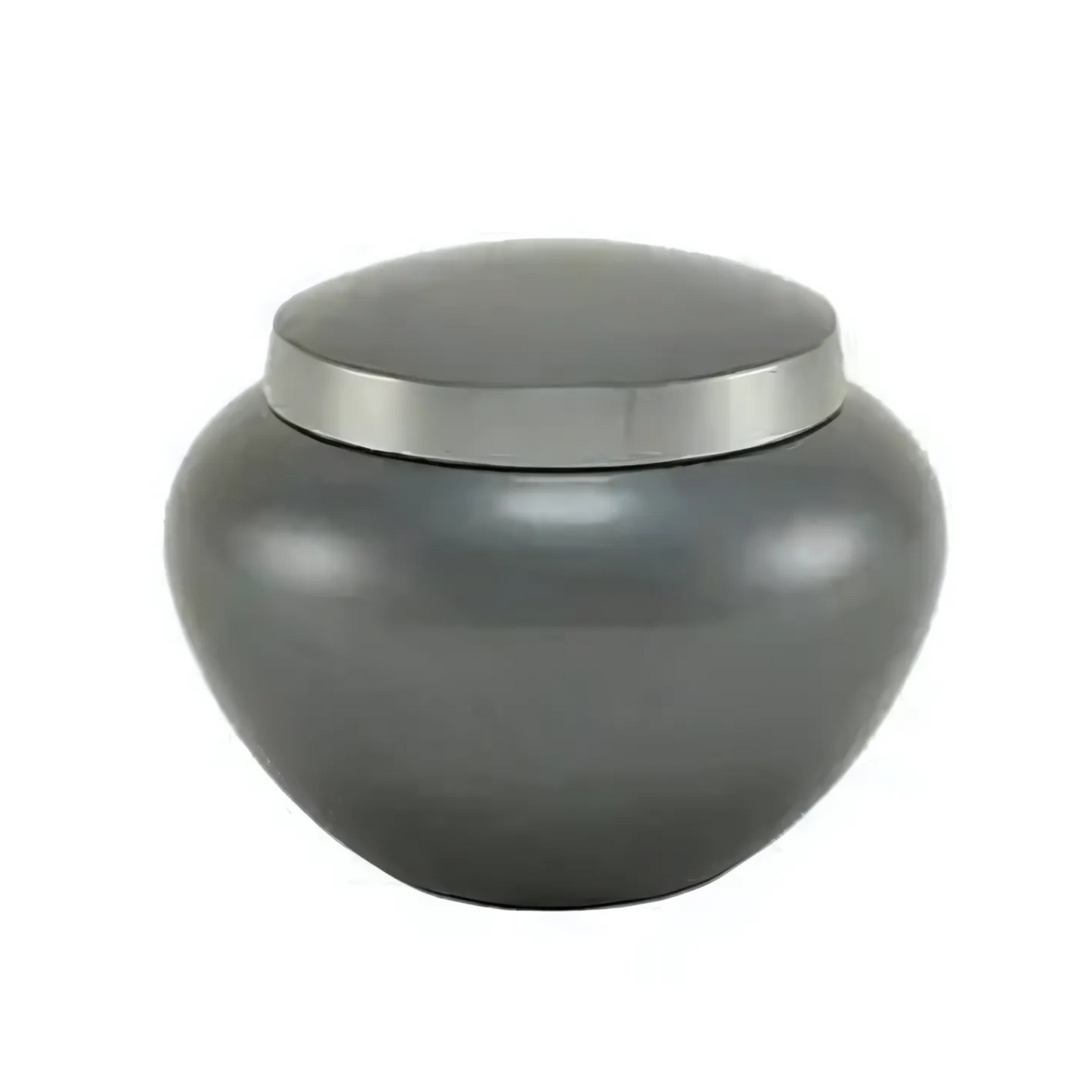 Noah Platinum Extra Small Pet Urn High-Resolution Image