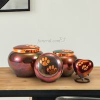 Noah Raku Medium Pet Urn Set