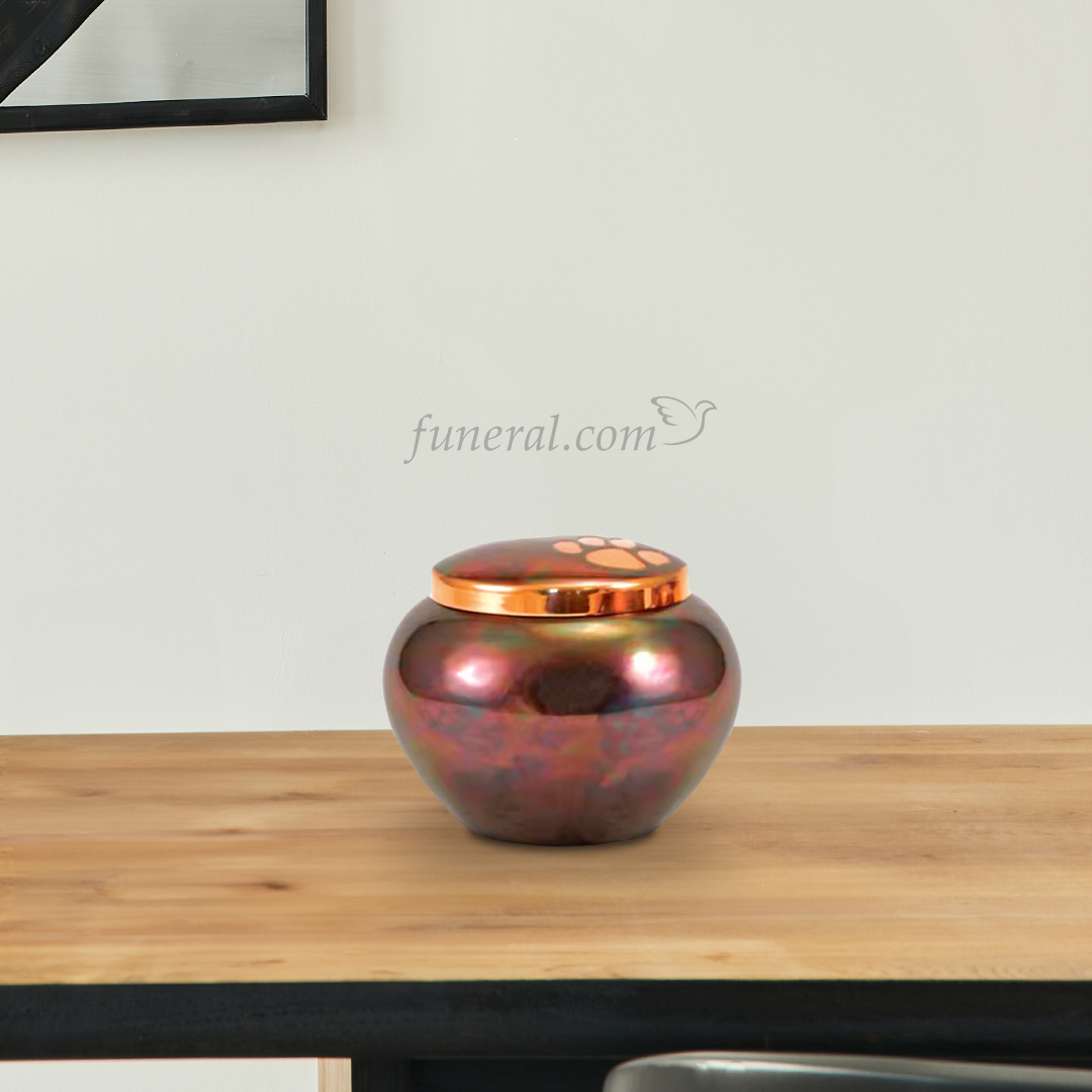 Noah Raku Medium Pet Urn