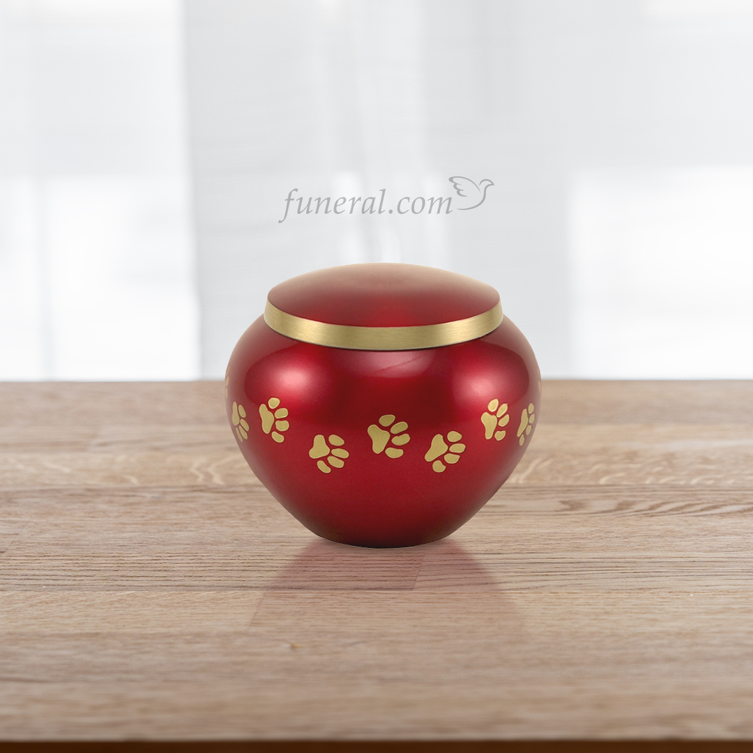 Noah Crimson Medium Pet Urn