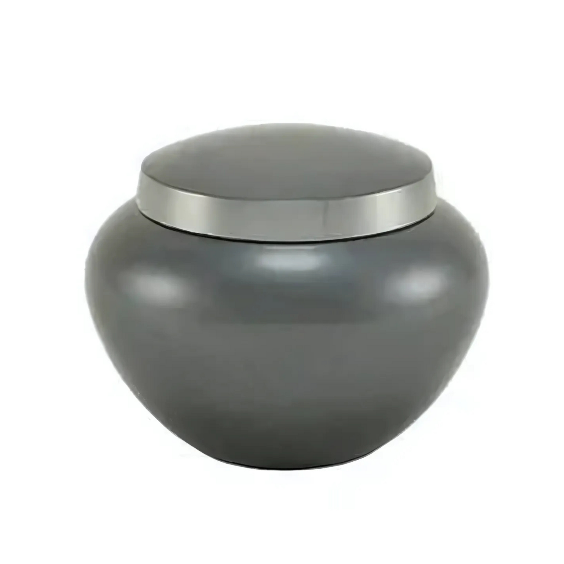 Noah Platinum Large Pet Urn High-Resolution Image