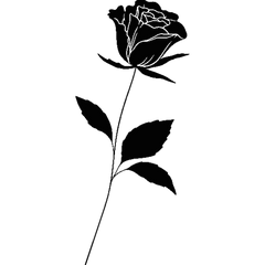 Rose Stem