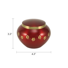 Round Glossy Crimson Brass Paw Print Band Small Pet Cremation Urn - Dimensions