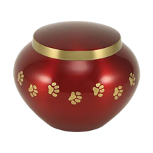 Round Glossy Crimson Brass Paw Print Band Small Pet Cremation Urn