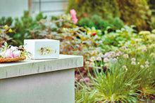 White Gloss MDF Desert Scene Adult Cremation Urn - Lifestyle