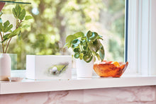 White Gloss MDF Artistic Golf Scene Adult Cremation Urn - Lifestyle