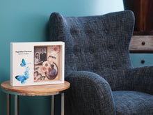 White Gloss MDF Blue Butterflies Shadowbox Medium Cremation Urn - Lifestyle