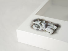 White Gloss MDF Cherub Shadowbox Medium Cremation Urn - Artistic