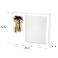 White MDF White-Tailed Deer Shadowbox Medium Cremation Urn - Dimensions