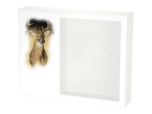 White MDF White-Tailed Deer Shadowbox Medium Cremation Urn - Lifestyle