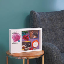 Pink Cat Blue Yarn Memento White Large Pet Cremation Urn - Lifestyle