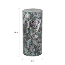 Coastal Glimmer Shell Adult Cremation Urn - Dimensions