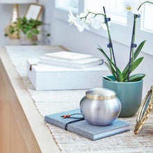 Pewter Two Bronze Paw Prints Small Pet Cremation Urn - Lifestyle