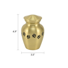 Classic Brass Paw Print Band Small Pet Cremation Urn - Dimensions
