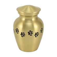 Classic Brass Paw Print Band Small Pet Cremation Urn