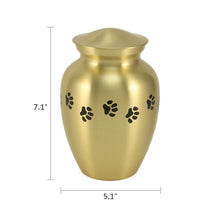 Classic Brass Paw Print Band Pet Large Cremation Urn - Dimensions