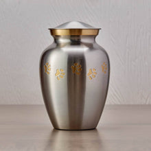Classic Pewter Paw Print Band Pet Large Cremation Urn - Lifestyle