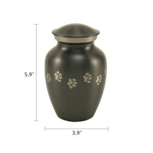 Classic Slate Paw Print Band Pet Medium Cremation Urn - Dimensions