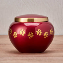 Classic Round Crimson Paw Band Medium Pet Cremation Urn - Lifestyle