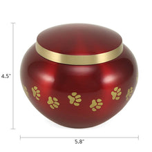 Classic Round Crimson Paw Band Large Pet Cremation Urn - Dimensions