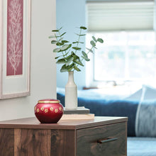 Classic Round Crimson Paw Band Large Pet Cremation Urn - Lifestyle