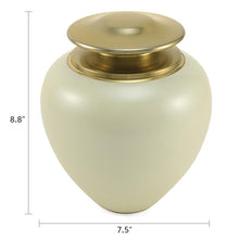 High Gloss Pearl Brass Adult Cremation Urn with Brass Lid - Dimensions
