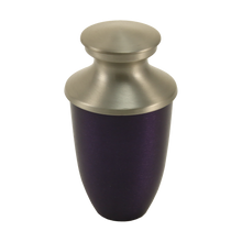 Royal Purple Aluminum & Brass Brushed Silver Lid Keepsake Urn