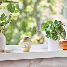 Classic Brass Mother of Pearl Shell Medium Cremation Urn -- Lifestyle