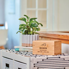 Natural Bamboo Box Large Pet Cremation Urn - Lifestyle