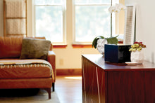 Navy Blue Gloss MDF Box Adult Cremation Urn - Lifestyle