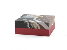 Patriotic Eagle Hardboard Flag Design Adult Cremation Urn - Artistic
