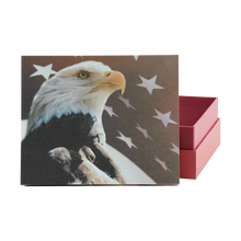 Patriotic Eagle Hardboard Flag Design Adult Cremation Urn