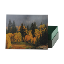 Golden Forest Hardboard Adult Cremation Urn