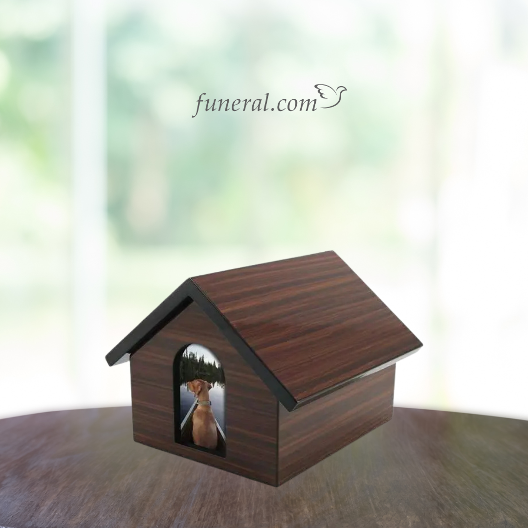 You are Home Brown Large Pet Urn with Background