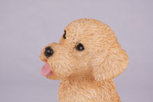 Apricot Miniature Poodle Resin Figurine Large Pet Urn - Funeral.com, Inc.