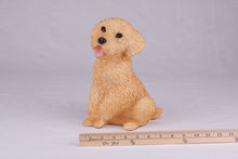 Apricot Miniature Poodle Resin Figurine Large Pet Urn - Funeral.com, Inc.
