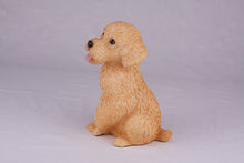 Apricot Miniature Poodle Resin Figurine Large Pet Urn - Funeral.com, Inc.