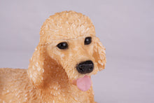 Apricot Poodle Resin Figurine Extra Large Pet Urn - Funeral.com, Inc.