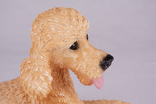 Apricot Poodle Resin Figurine Extra Large Pet Urn - Funeral.com, Inc.