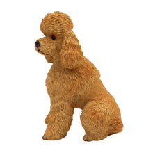 Apricot Poodle, Short Cut Sitting Figurine Pet Cremation Urn - Funeral.com, Inc.