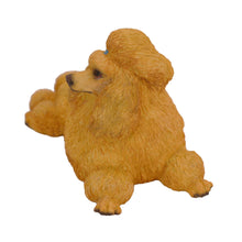 Apricot Poodle, Show Cut Lying Down Figurine Pet Cremation Urn - Funeral.com, Inc.