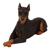 Black and Brown Doberman, Resting Figurine Pet Cremation Urn - Funeral.com, Inc.