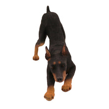 Black and Tan Doberman, Play Bowing Figurine Pet Cremation Urn - Funeral.com, Inc.