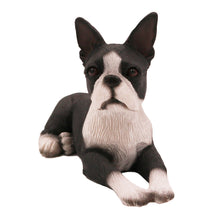 Black and White Boston Terrier, Lying Down Figurine Pet Cremation Urn - Funeral.com, Inc.