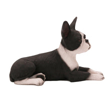 Black and White Boston Terrier, Lying Down Figurine Pet Cremation Urn - Funeral.com, Inc.