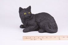 Black Coat Shorthair Cat Figurine Pet Urn - Funeral.com, Inc.