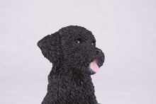Black Miniature Poodle Resin Figurine Large Pet Urn - Funeral.com, Inc.